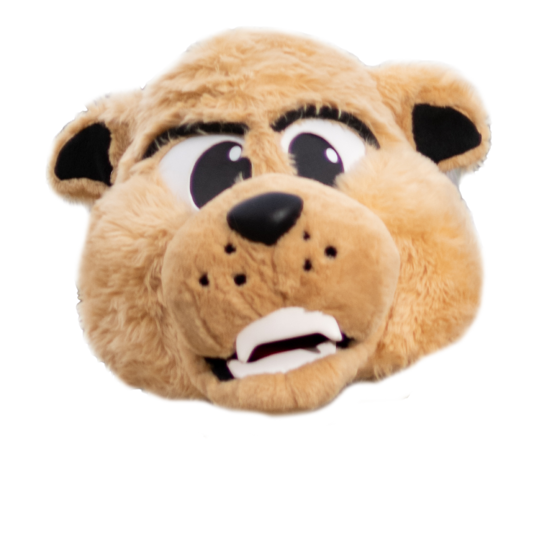 Cougar mascot head cutout.